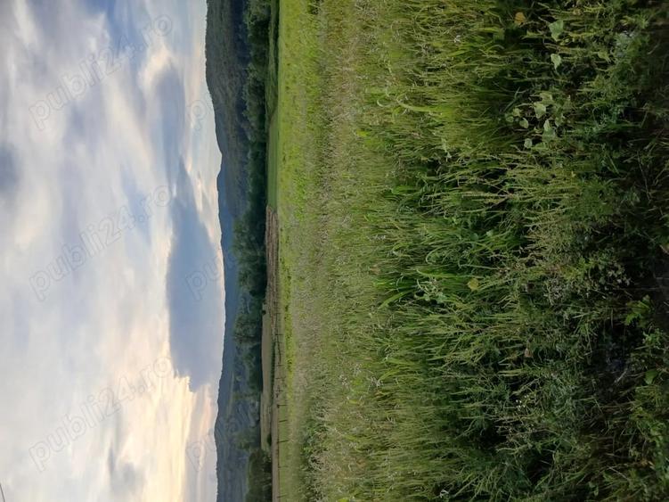 Teren de 30000 mp, în Lupoaia