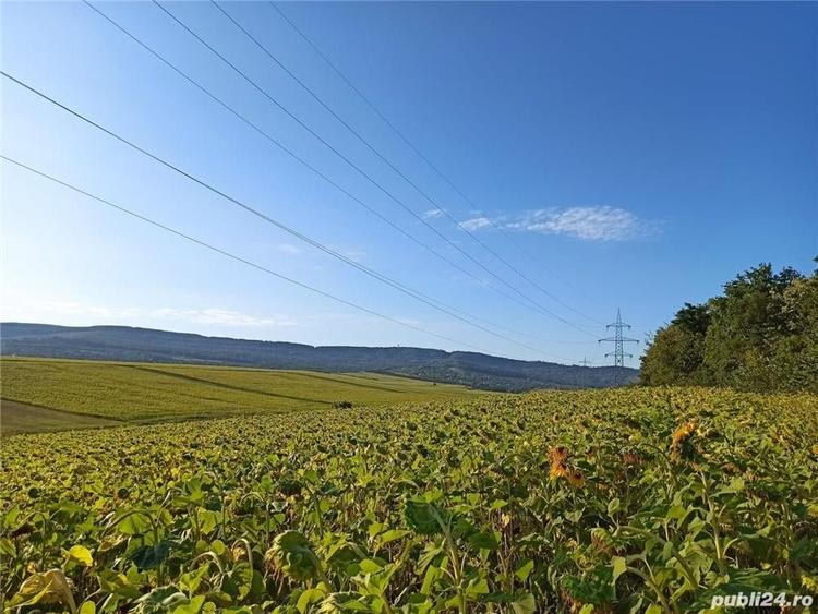 Teren de 5400 mp, în Pădurii