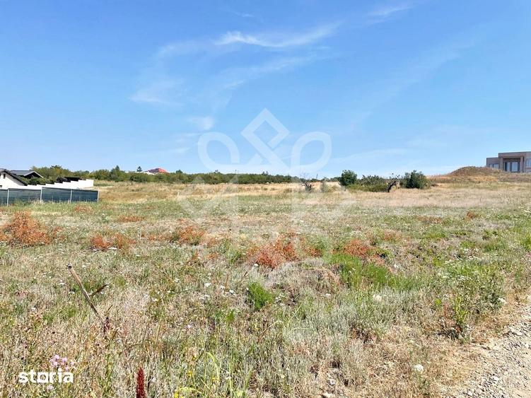 Teren de 900 mp, în Sântandrei