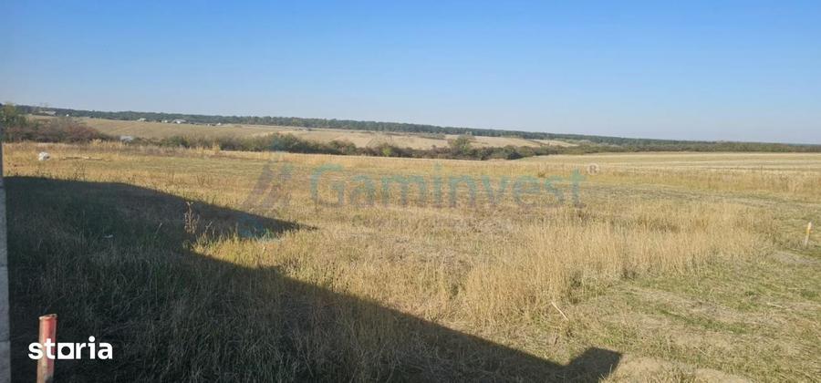 Teren de 1600 mp, în Sânmartin