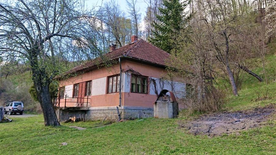 Teren Construcții intravilan de 69237 mp, în Crișcior