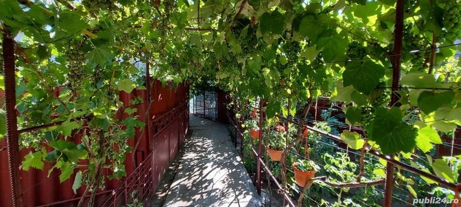 Casă cu 3 camere cu Teren 350 Mp în Mangalia