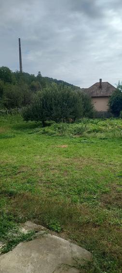 Casă cu 3 camere cu Teren 2588 Mp în Central