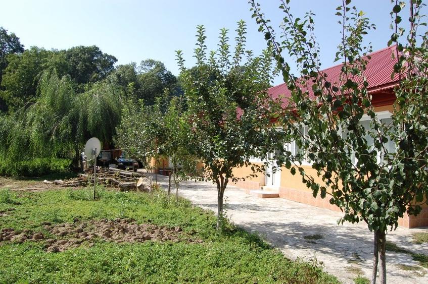Padurea Comana - 6