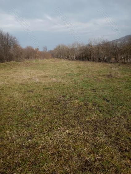 Vand Casa, Paulean jud.Arad - 4