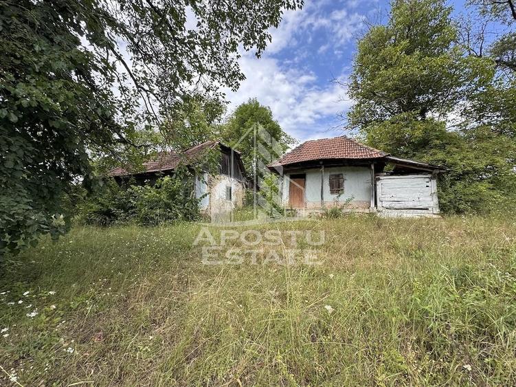 Teren de 7492 mp, în Fornădia