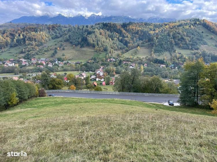 Spațiu comercial, în Moieciu