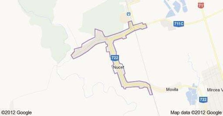 Teren de 9195 mp, în Nucet