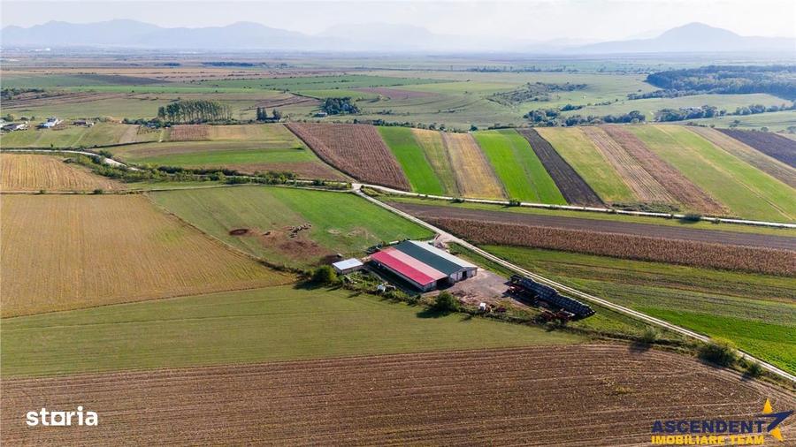 Teren de 18000 mp, în Feldioara