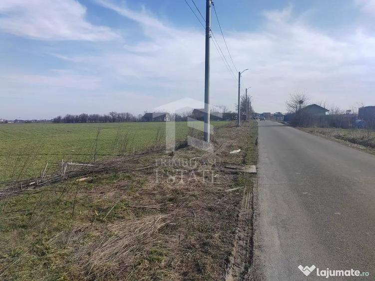 Teren în Cernica