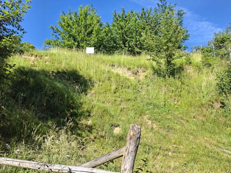 Vind teren la munte in Rau Sadului jud.Sibiu intravilan pozitie foarte buna - 8