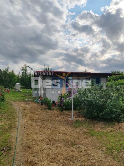 Casă individuală cu 4 camere cu Teren 4800 Mp în Crețești