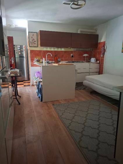 GOSPODĂRIE  COMPLET UTILATA 120.000 EURO - 12