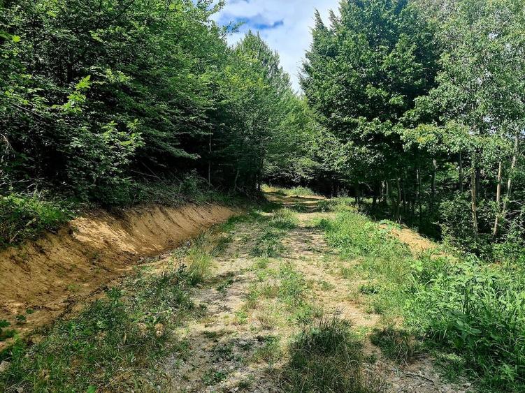Teren de 9500 mp, în Budești