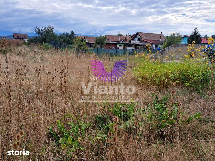CASA 4 CAMERE 136 MPU SI TEREN 825MP IN DAIA
