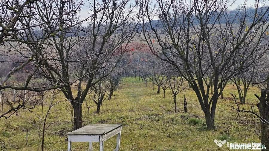 Teren de 10791 mp, în Fălticeni