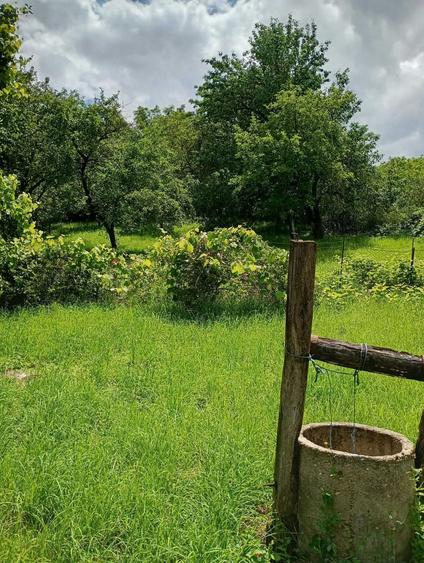 Casă în Chesău