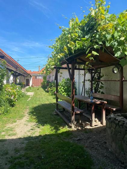 Casă cu 3 camere cu Teren 1120 Mp în Central