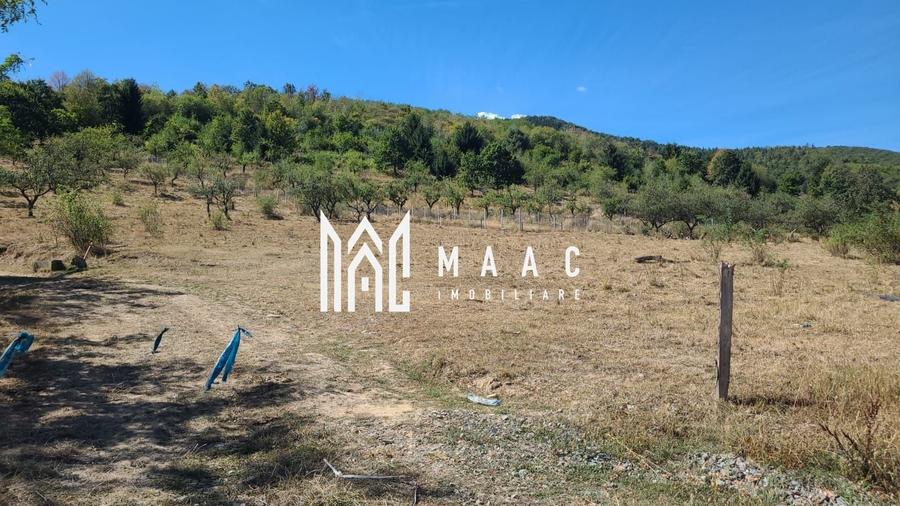 Teren agricol intravilan de 5000 mp, în Nord