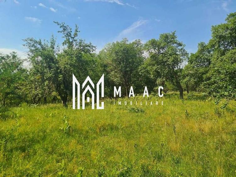 Teren Construcții de 12922 mp, în Loamneș