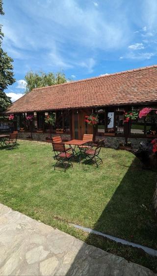 Proprietate specială, de 200 mp, în Obreja