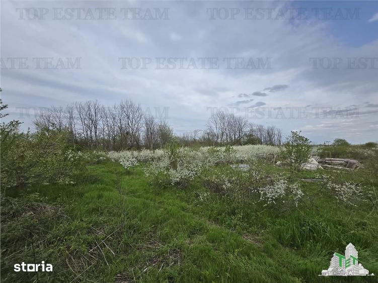 Teren de 2325 mp, în Joița