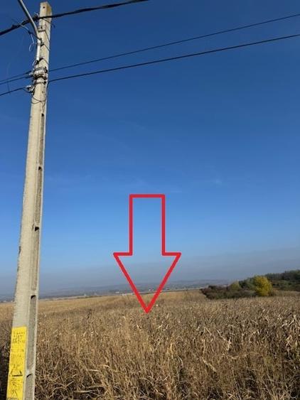 Teren agricol intravilan de 6668 mp, în Bogdan Vodă