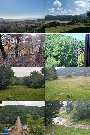 Teren de 6000 mp, în Central