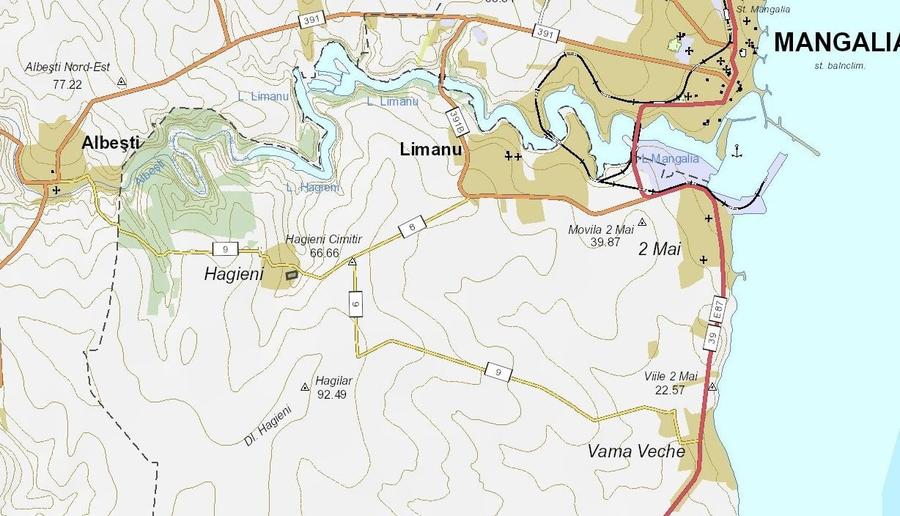 Teren Construcții intravilan de 20000 mp, în Limanu