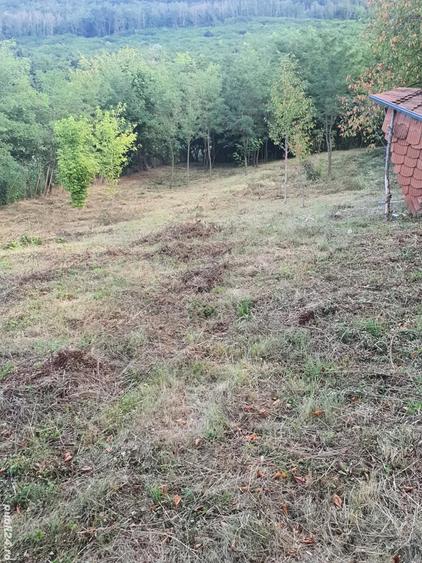 Teren de 3400 mp, în Central