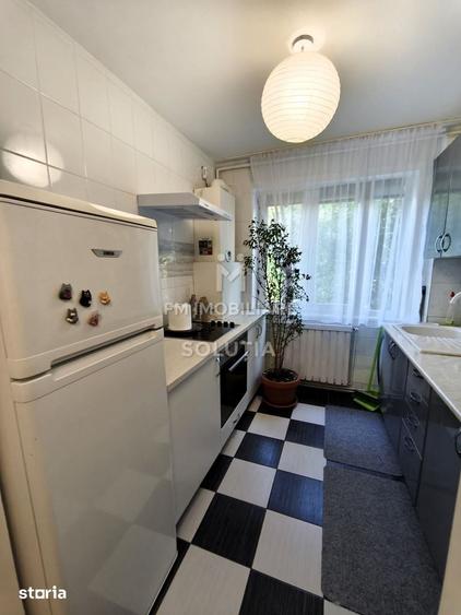 Apartament cu 2 camere în Săsar