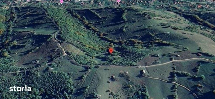 Teren de 13434 mp, în Bran