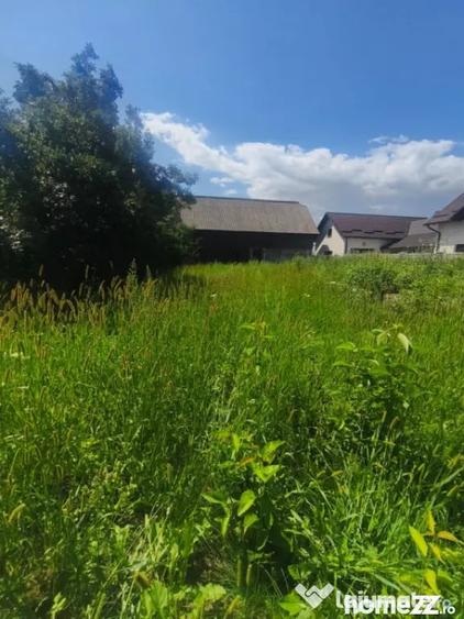 Teren de 10000 mp, în Măneuți
