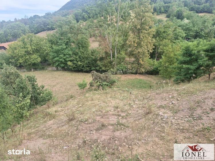 Casă cu 3 camere cu Teren 6296 Mp în Meteș