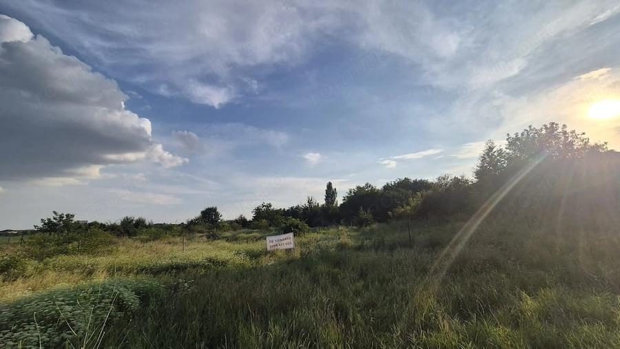 2515 mp de vanzare -in Voluntari- Pipera - 2515 mp - 4