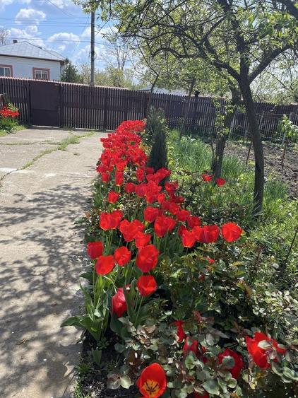 Casă cu 4 camere în Florica