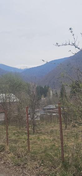 Spațiu comercial, în Poiana