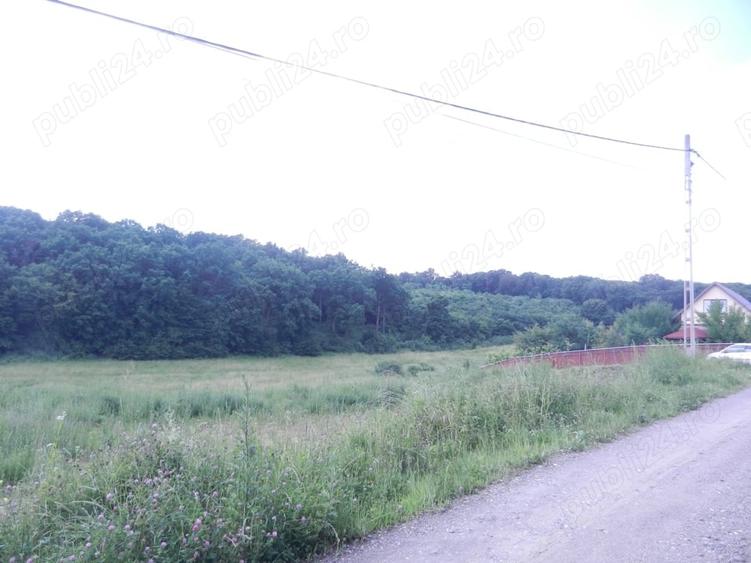 Teren de 2500 mp, în Sâncraiu de Mureș