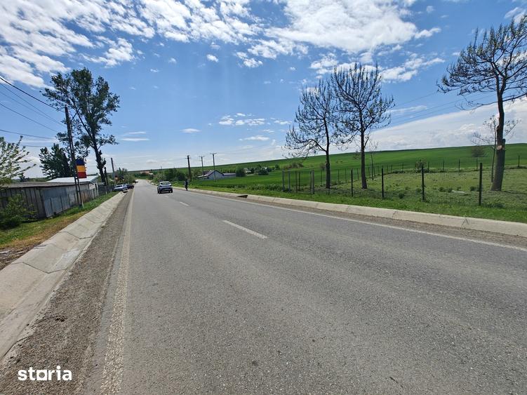 Teren de 50000 mp, în Movileni