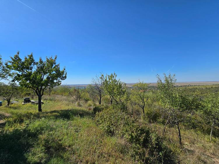 Teren extravilan de 8472 mp, în Ghioroc