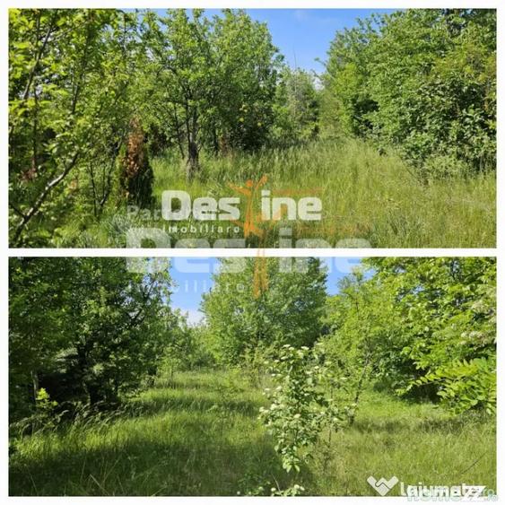 Teren de 3523 mp, în Tomești