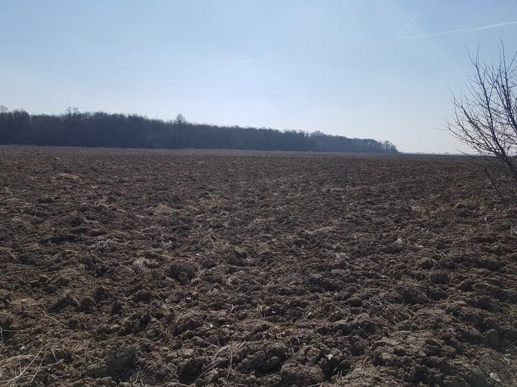 Teren Construcții intravilan de 30000 mp, în Răcari