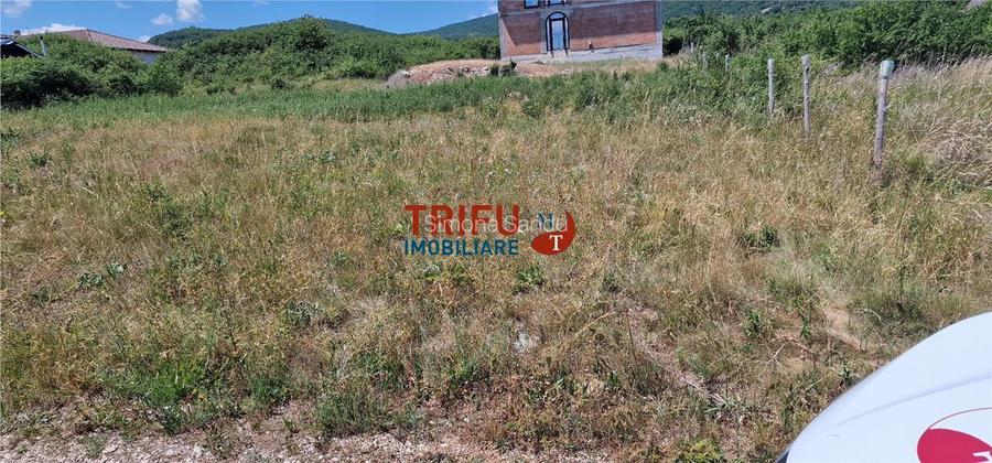 Teren in Podei de vanzare intravilan construibil