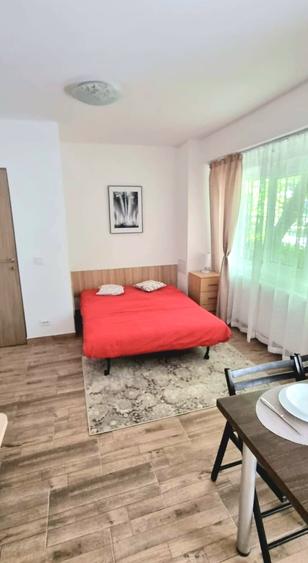 Garsoniera boiler 5 min M Timpuri noi - Tineretului DB2269 - 1