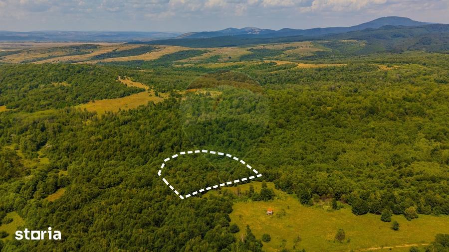 Teren de 6572 mp, în Părău