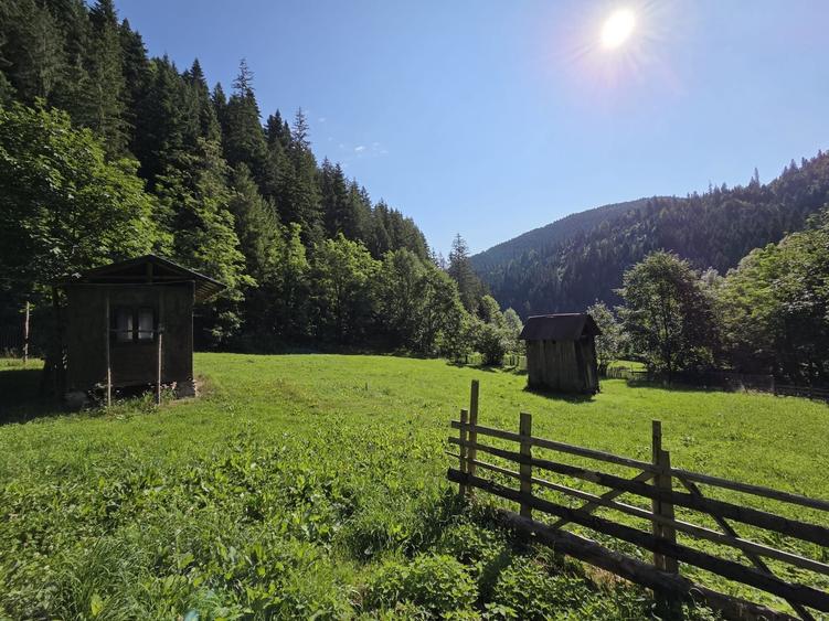 Teren de 3386 mp, în Borca