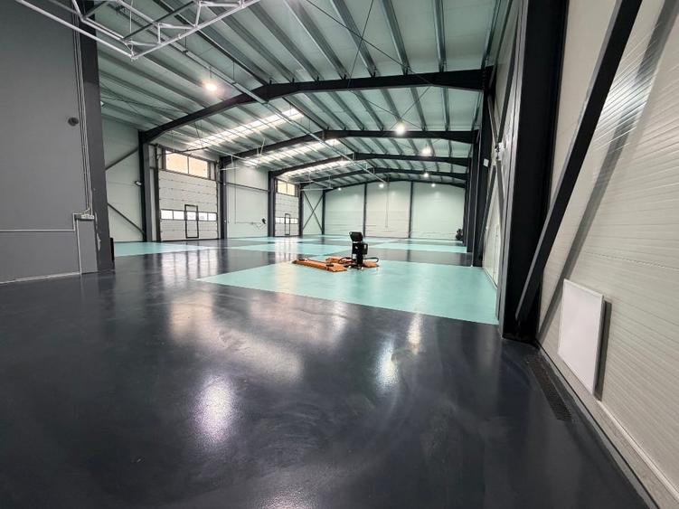 Spațiu industrial, de 595 mp, în Domnești