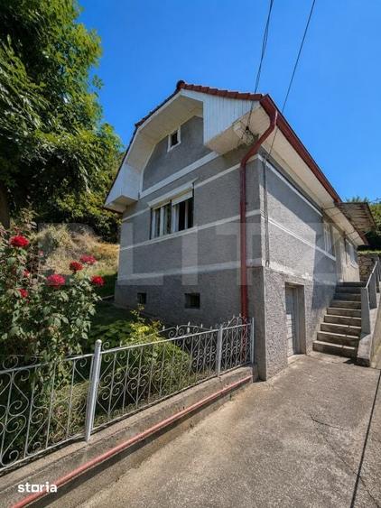 Casa cu Teren Generos 1.341 mp Str. Calarasi - 4