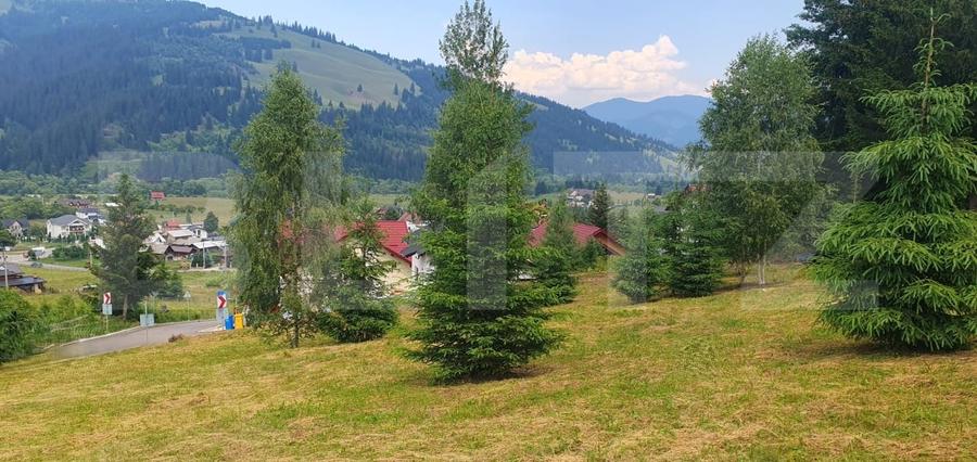 Teren Construcții intravilan de 3268 mp, în Vatra Dornei