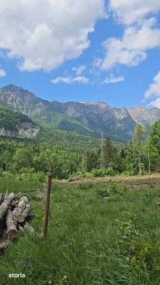 Teren de 1000 mp, în Cumpătu